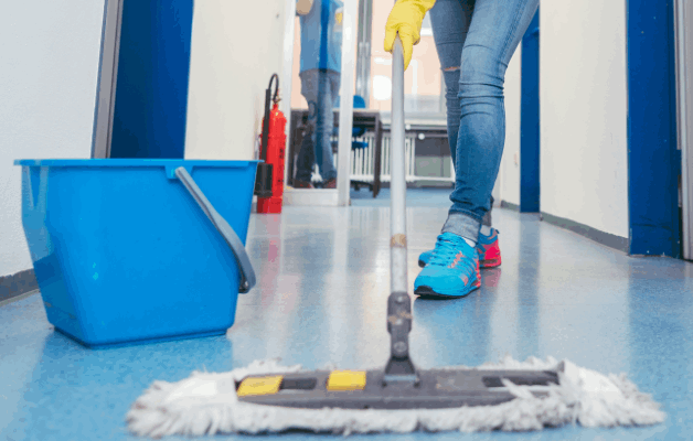 Serpillères et Accessoires pour Sol